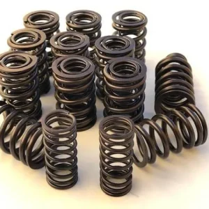 Muelles válvula BMW E36 320 - 325 M50 - no VANOS