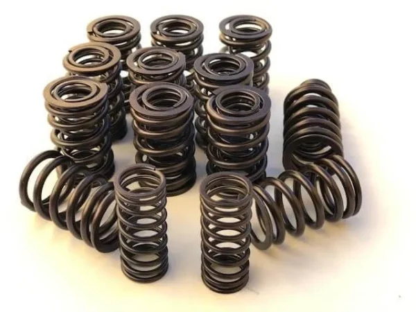 Muelles válvula BMW E36 320 - 325 M50 - no VANOS