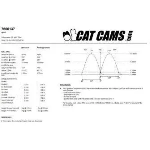 AAC 7608134 / VW 2G/AAV / 1300 / 8V 55 CV