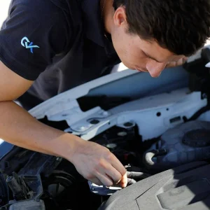 Verificador de vehiculos