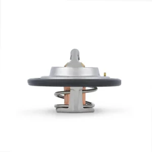 Termostato, compatible con Ford Mustang V8 Street 1996-2004