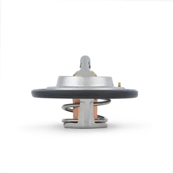 Termostato, compatible con Ford Mustang V8 Street 1996-2004